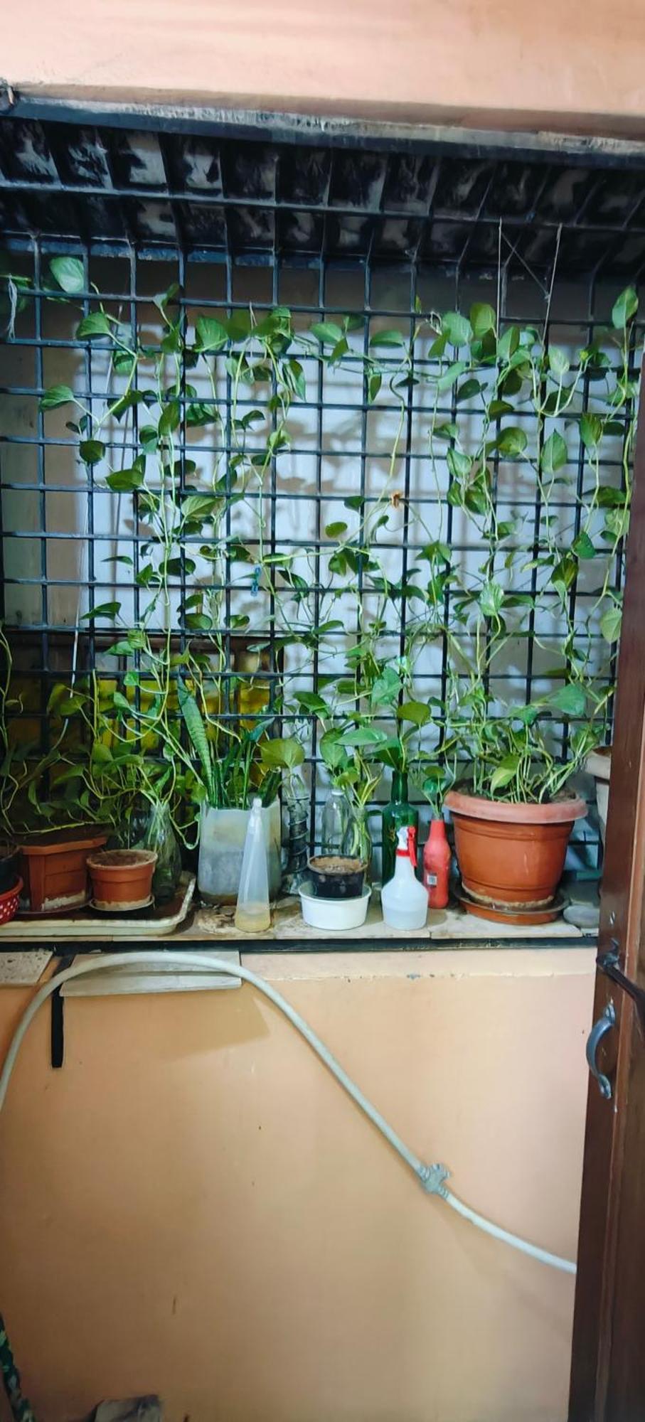 Rani'S Nest Lejlighed Hyderabad Eksteriør billede